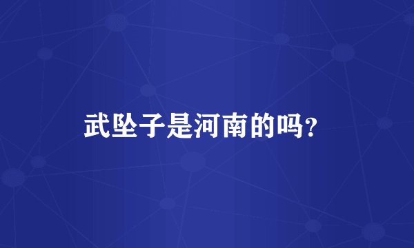 武坠子是河南的吗？