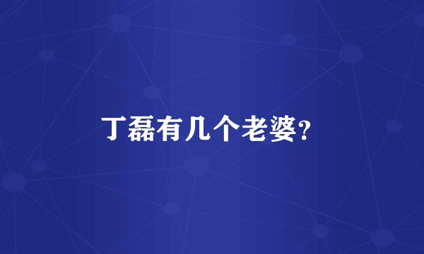 丁磊有几个老婆?