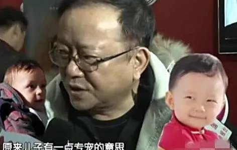 王刚的儿子怎么了?
