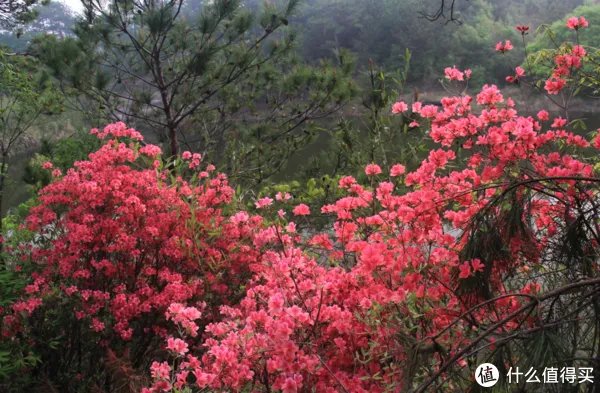 湖北旅游景点排名,湖北旅游景点大全介绍!