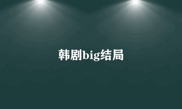 韩剧big结局
