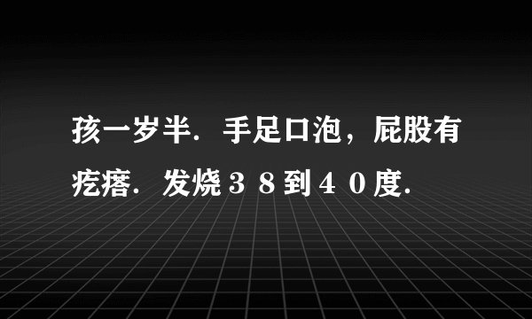 孩一岁半．手足口泡，屁股有疙瘩．发烧３８到４０度．