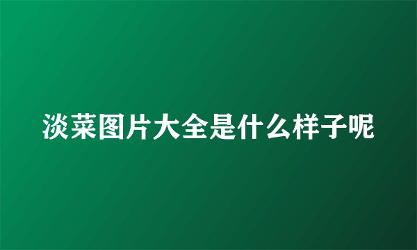 淡菜图片大全是什么样子呢