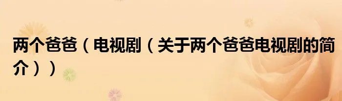 两个爸爸(电视剧(关于两个爸爸电视剧的简介))