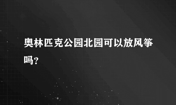 奥林匹克公园北园可以放风筝吗？