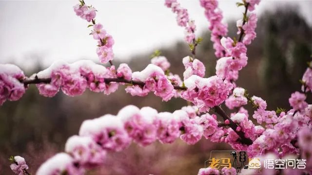 石家庄勒泰中心好在哪里?