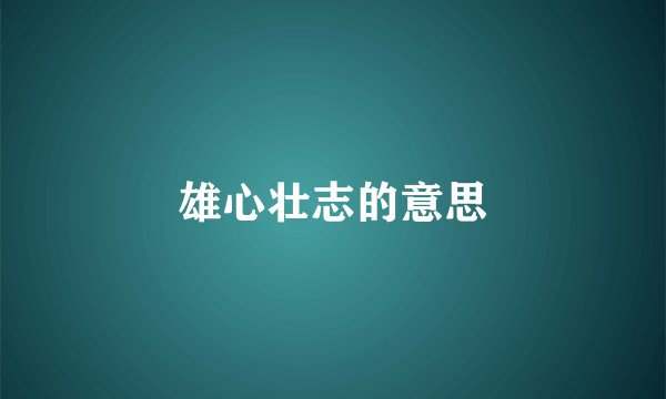 雄心壮志的意思