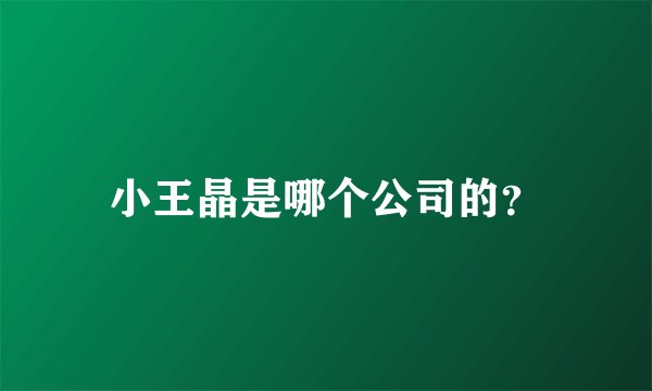 小王晶是哪个公司的？