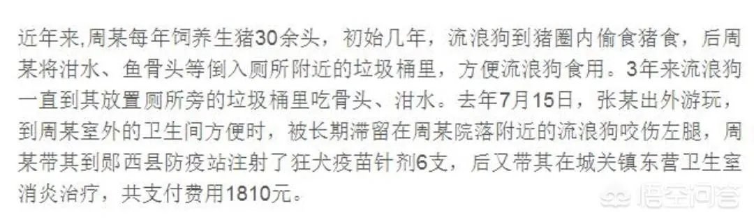 男子喂流浪狗却赔钱,这是怎么回事?