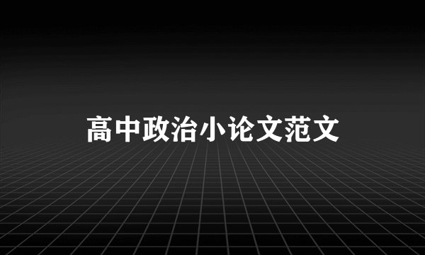 高中政治小论文范文