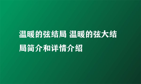 温暖的弦结局 温暖的弦大结局简介和详情介绍