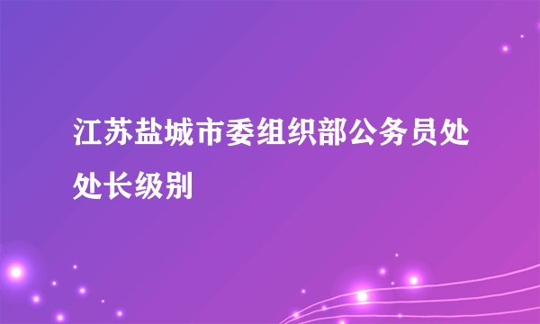 江苏盐城市委组织部公务员处处长级别