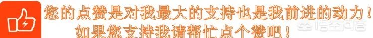 碰瓷失败被压死