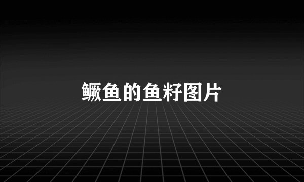 鳜鱼的鱼籽图片