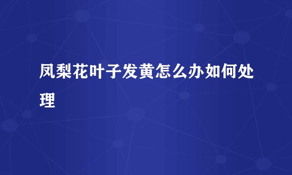凤梨花叶子发黄怎么办如何处理