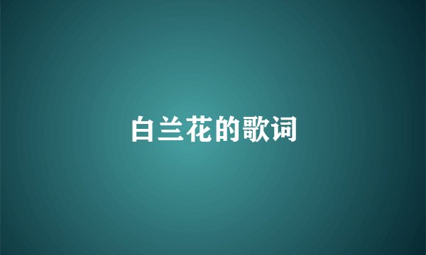 白兰花的歌词