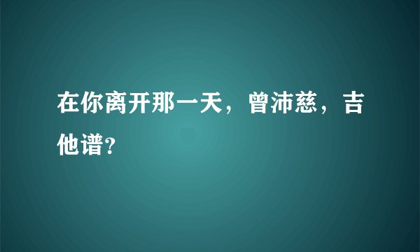 在你离开那一天,曾沛慈,吉他谱?