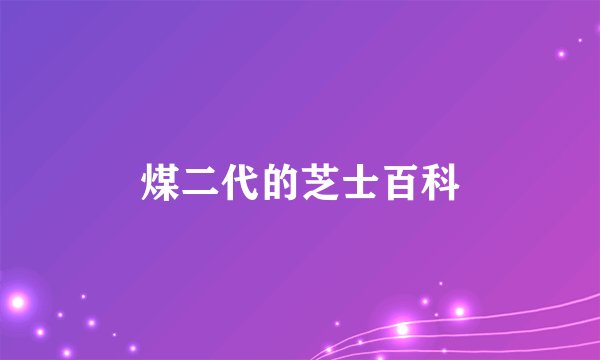 煤二代的芝士百科