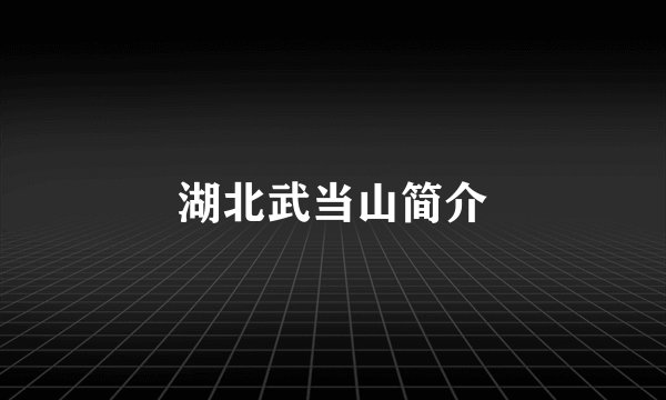 湖北武当山简介