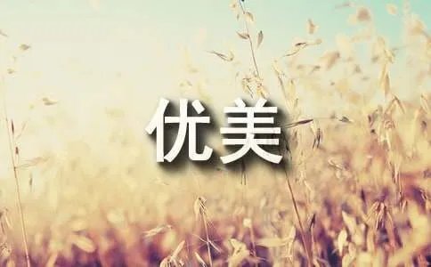 雪的优美诗句