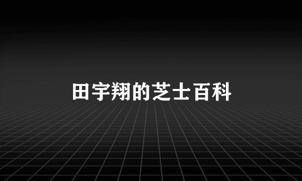 田宇翔的芝士百科