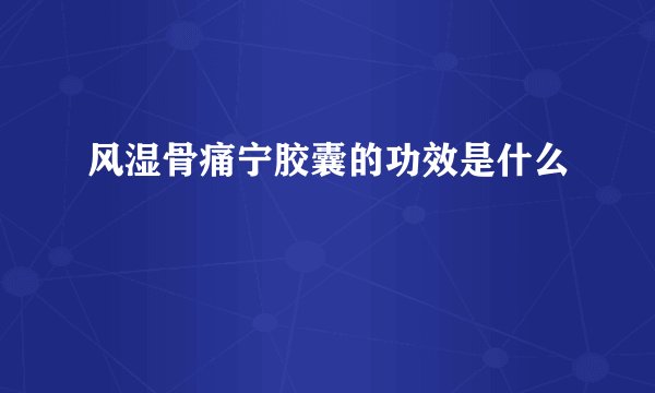 风湿骨痛宁胶囊的功效是什么