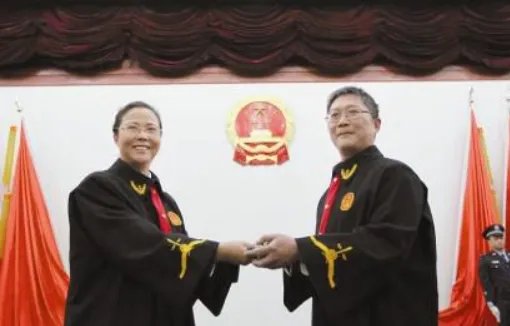 中国的法官从首席大法官往下一共分多少等级?