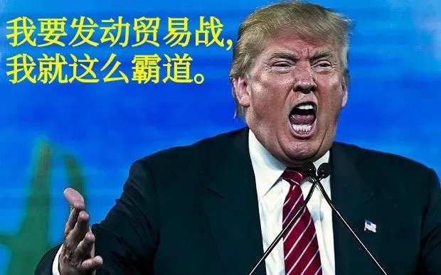 你觉得特朗普和奥巴马哪位总统当得好一些,你怎么看?