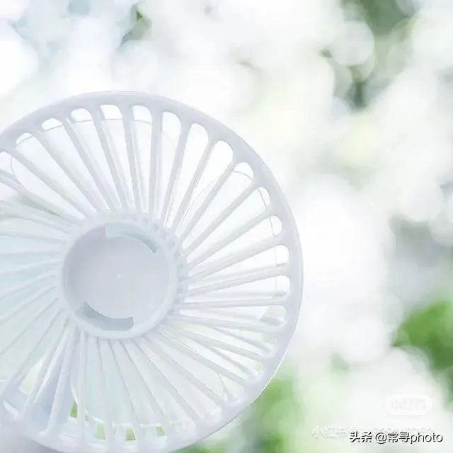 学摄影一定要参加学习班吗？选择什么形式的学习班比较合适？