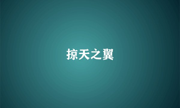 掠天之翼