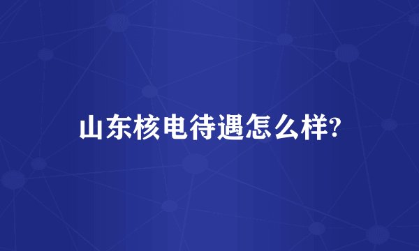 山东核电待遇怎么样?