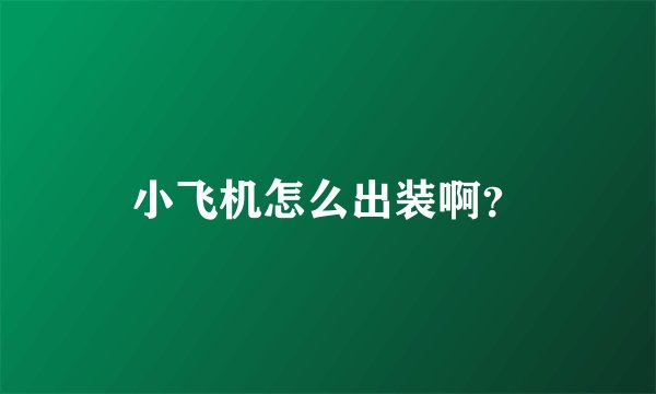 小飞机怎么出装啊?