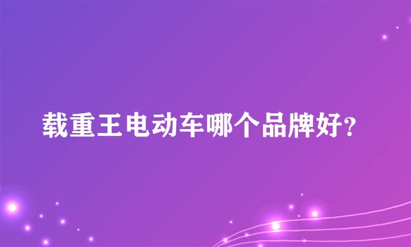 载重王电动车哪个品牌好？