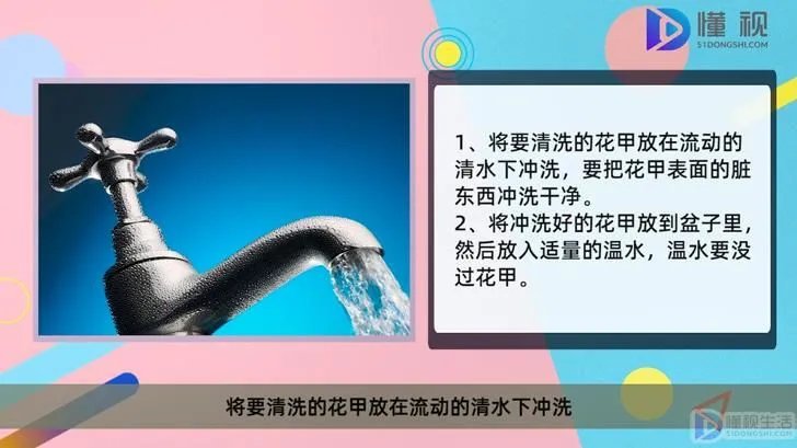 花甲如何清洗