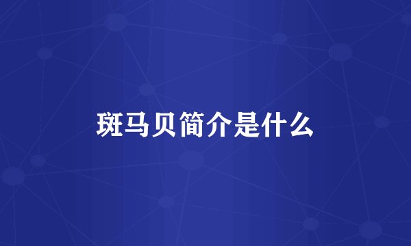 斑马贝简介是什么