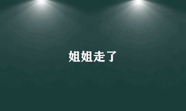 姐姐走了
