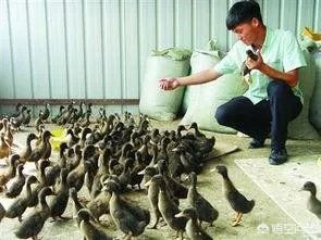 农业人才缺少