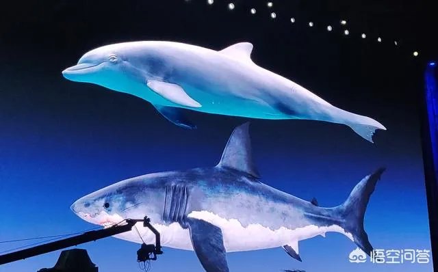 罗永浩老人与海发布会看了吗,对Sharklet抗菌印象如何?