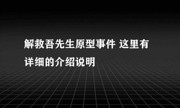 解救吾先生原型事件 这里有详细的介绍说明