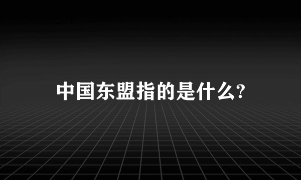 中国东盟指的是什么?