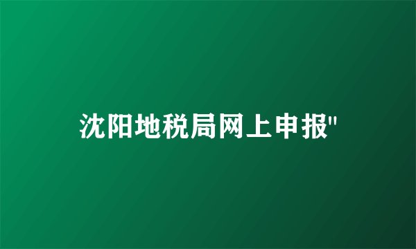 沈阳地税局网上申报