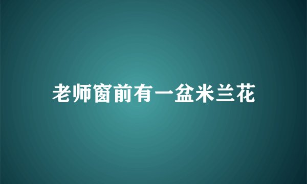 老师窗前有一盆米兰花