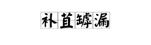 “补苴罅漏”是什么意思？