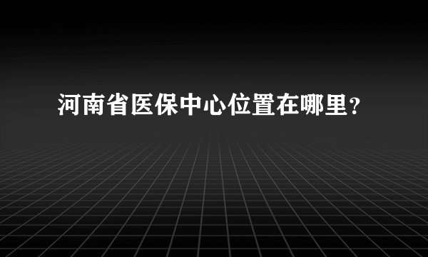 河南省医保中心位置在哪里？
