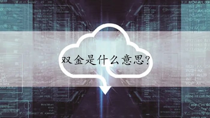 双金是什么意思？