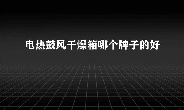 电热鼓风干燥箱哪个牌子的好