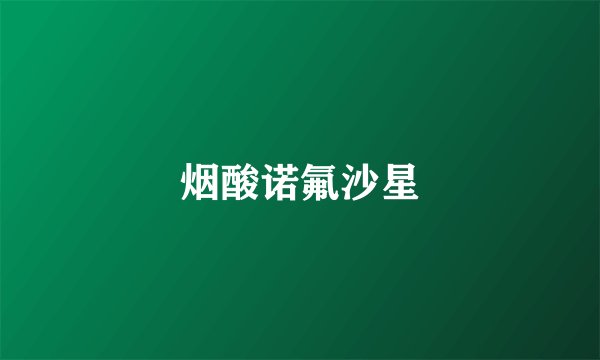 烟酸诺氟沙星