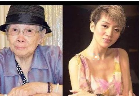 梅艳芳母亲抱怨什么?