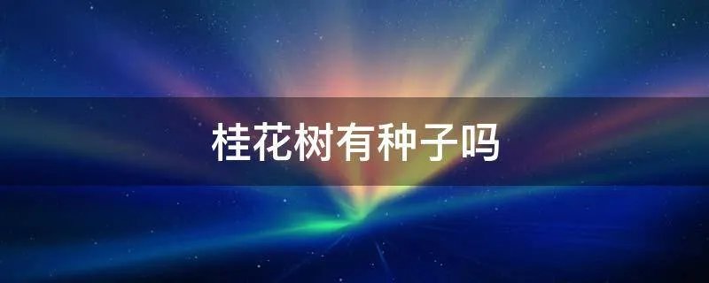 桂花树有种子吗