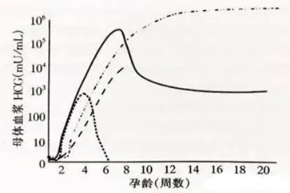 hcg变化曲线图